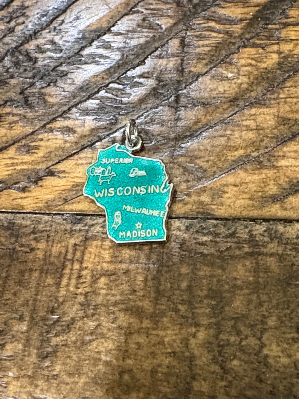 Wisconsin Sterling enamel Teal State Charm Pendant